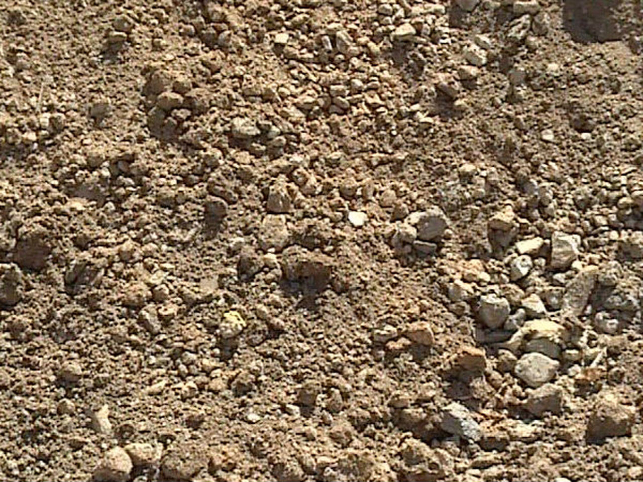 Fill Dirt