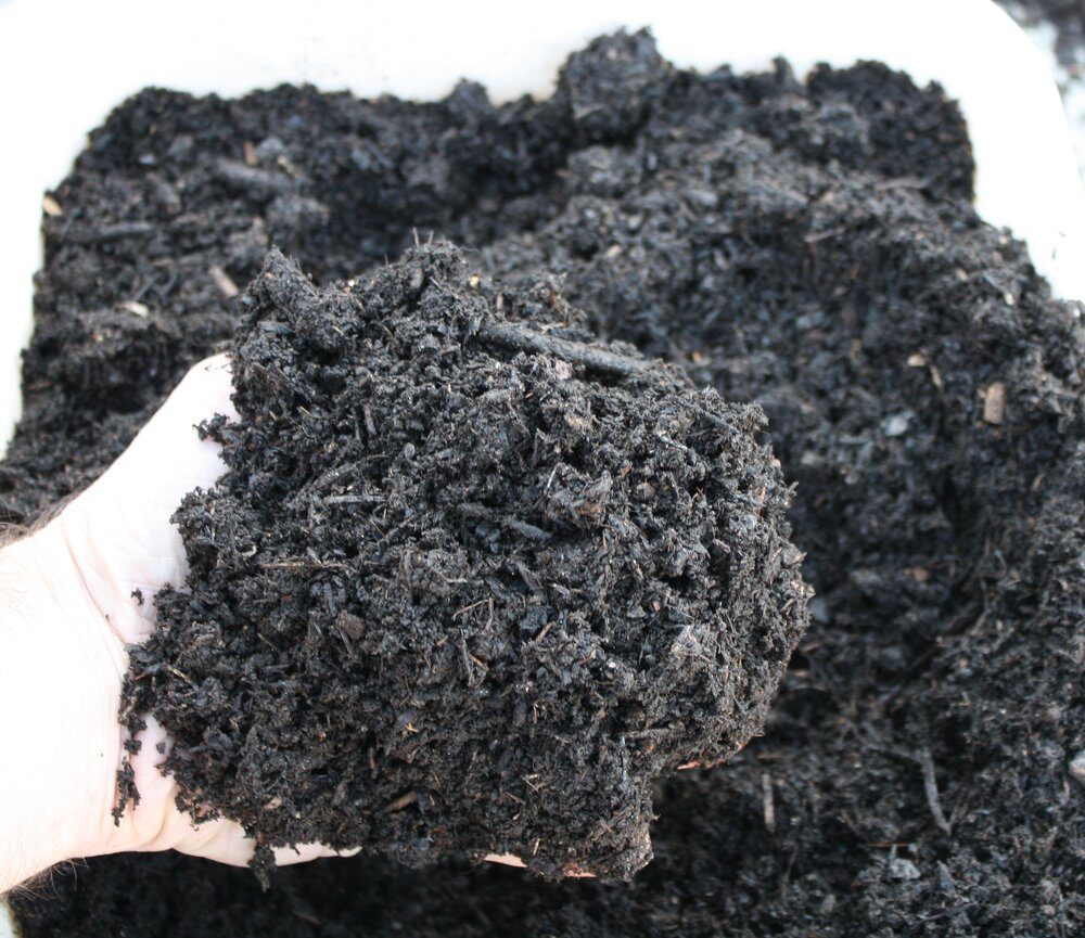 Leaf Compost