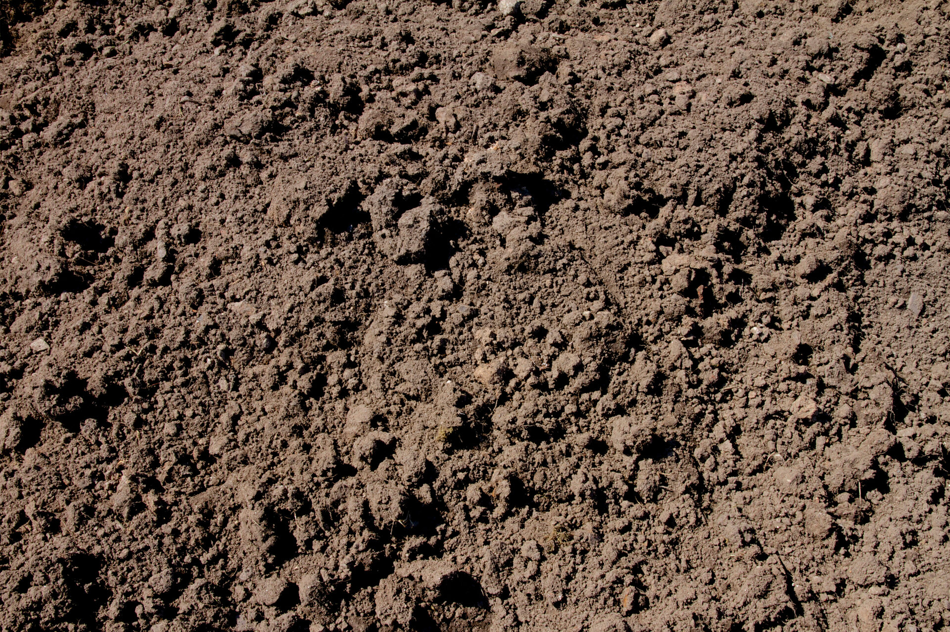 Topsoil